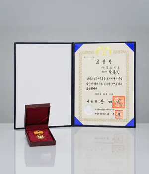 总统关于创造就业的嘉奖