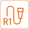 R1