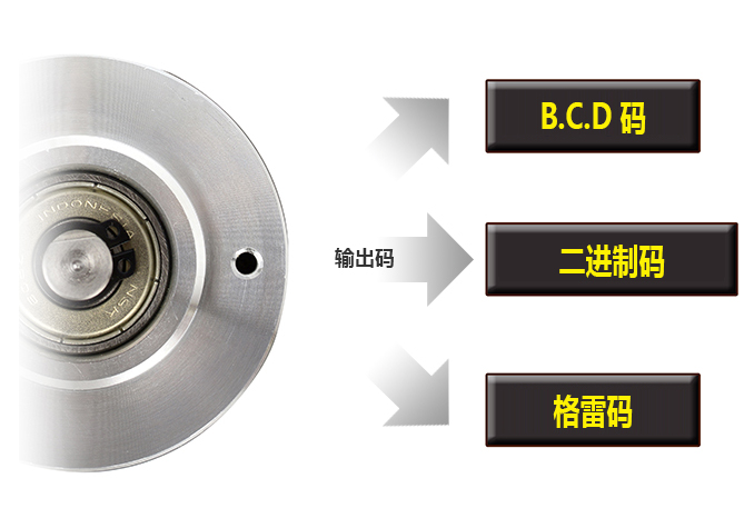 输出码 : B.C.D 码, 二进制码, 格雷码